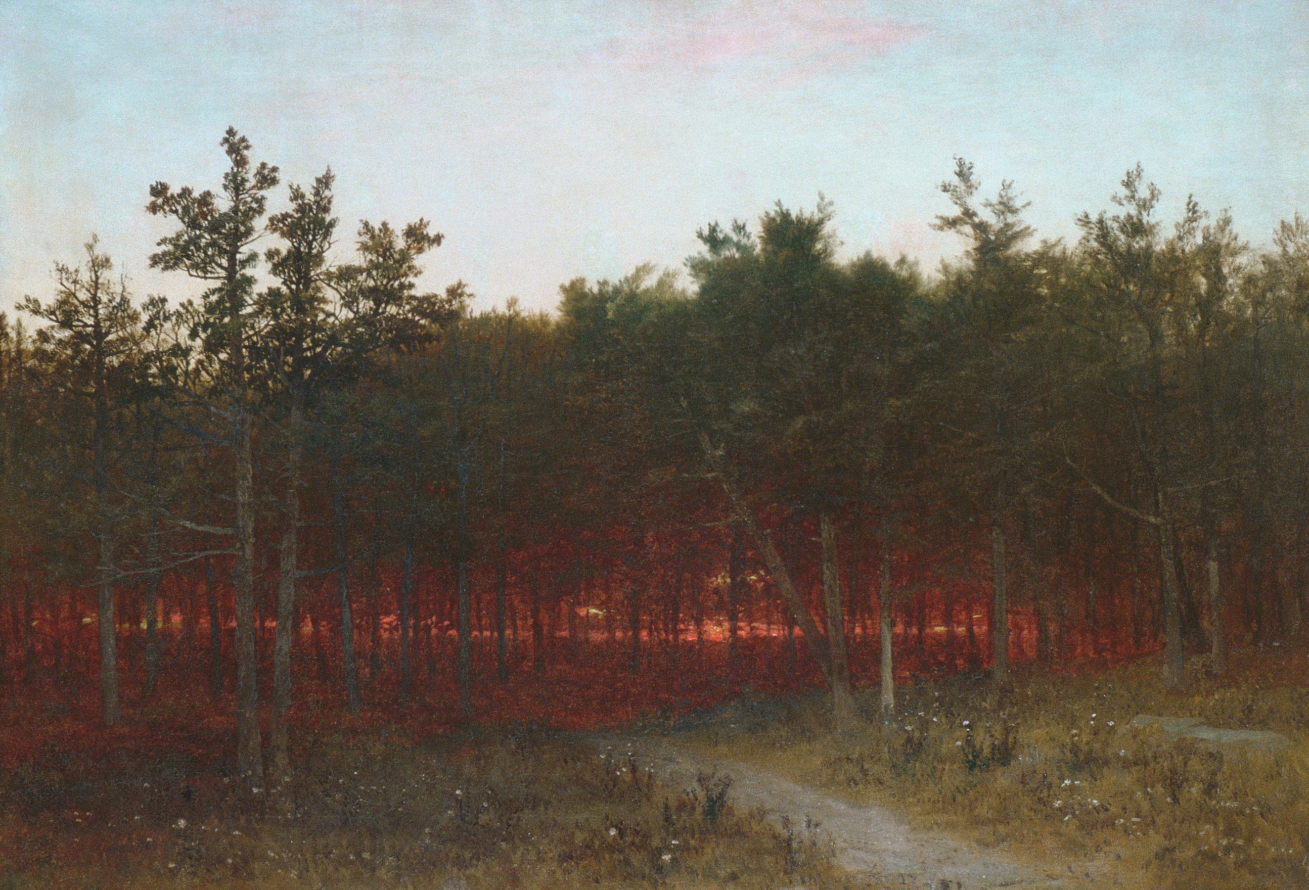 Crépuscule dans les cèdres à Darien, Connecticut - John Frederick Kensett