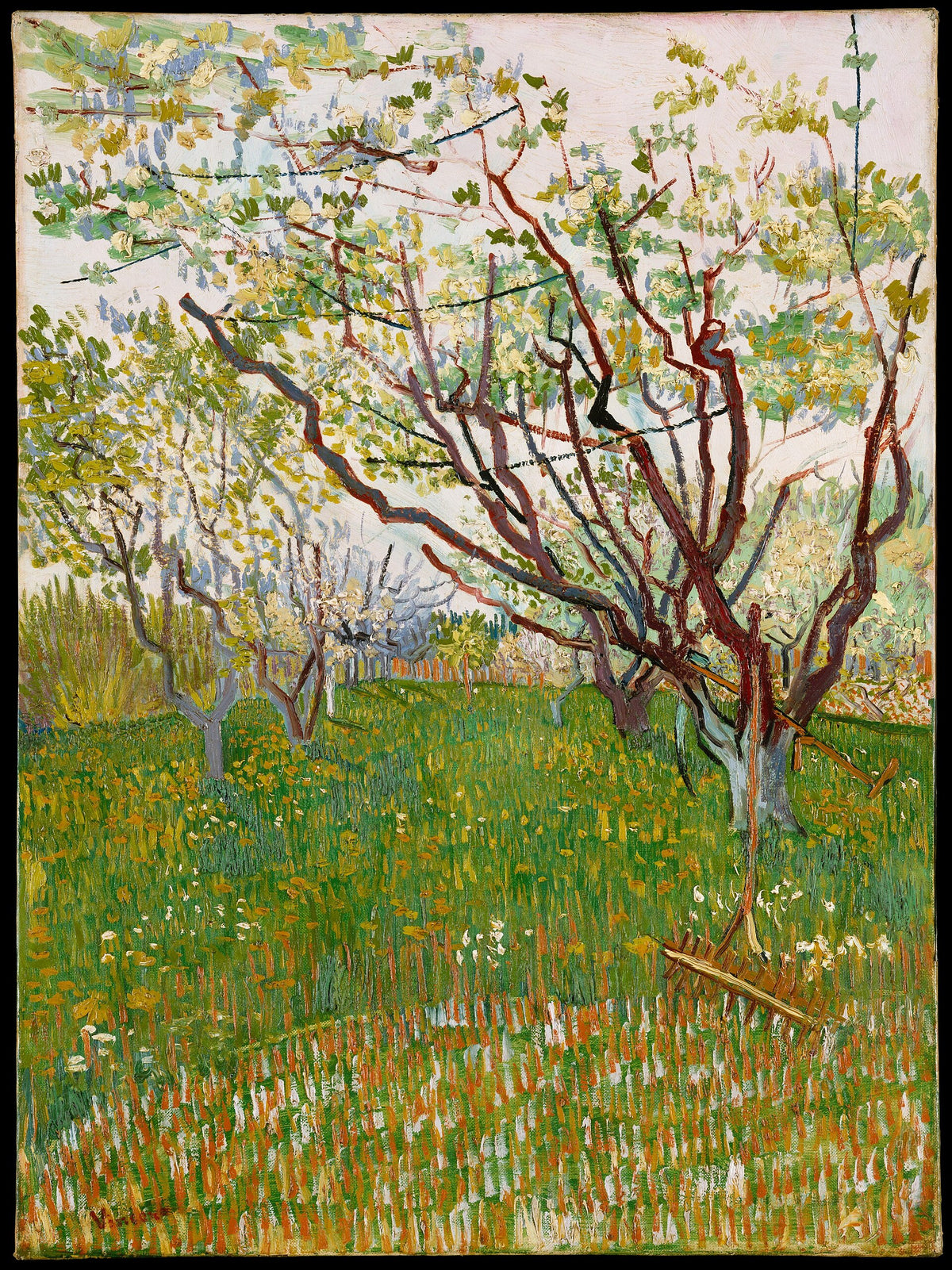 Le Verger en fleurs de Vincent van Gogh, peint à Arles au printemps 1888