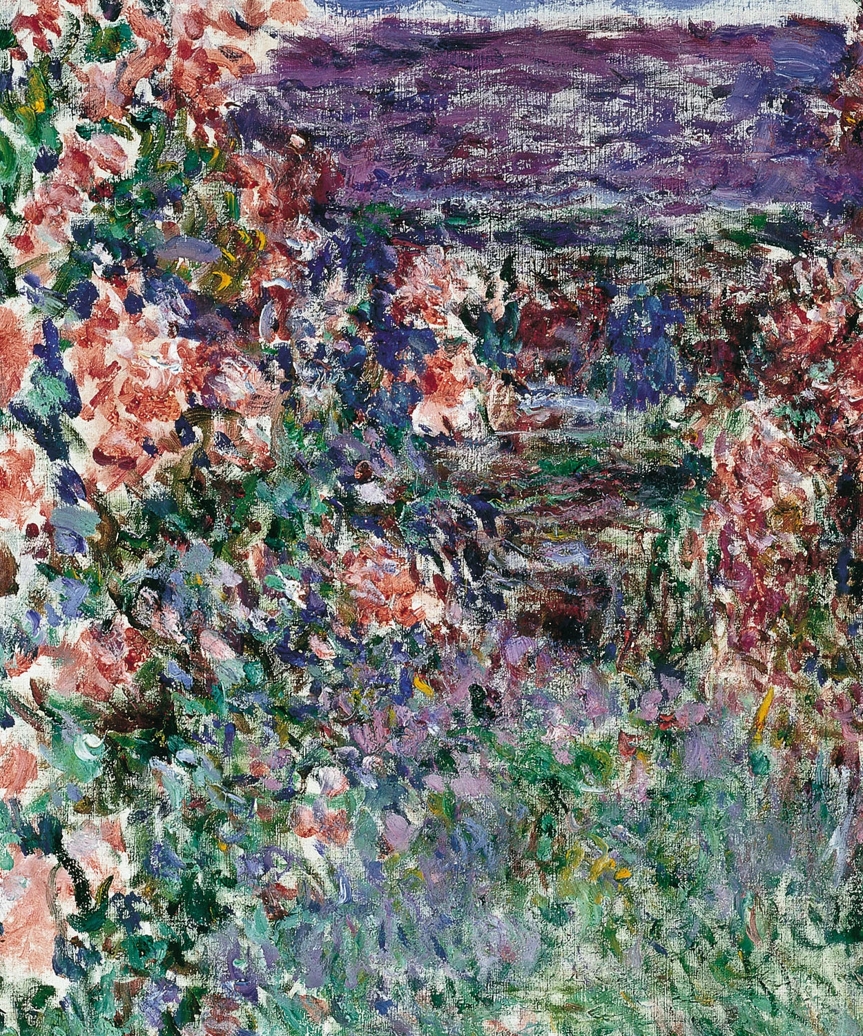 Détail des rosiers et de la maison de Giverny dans La Maison parmi les roses