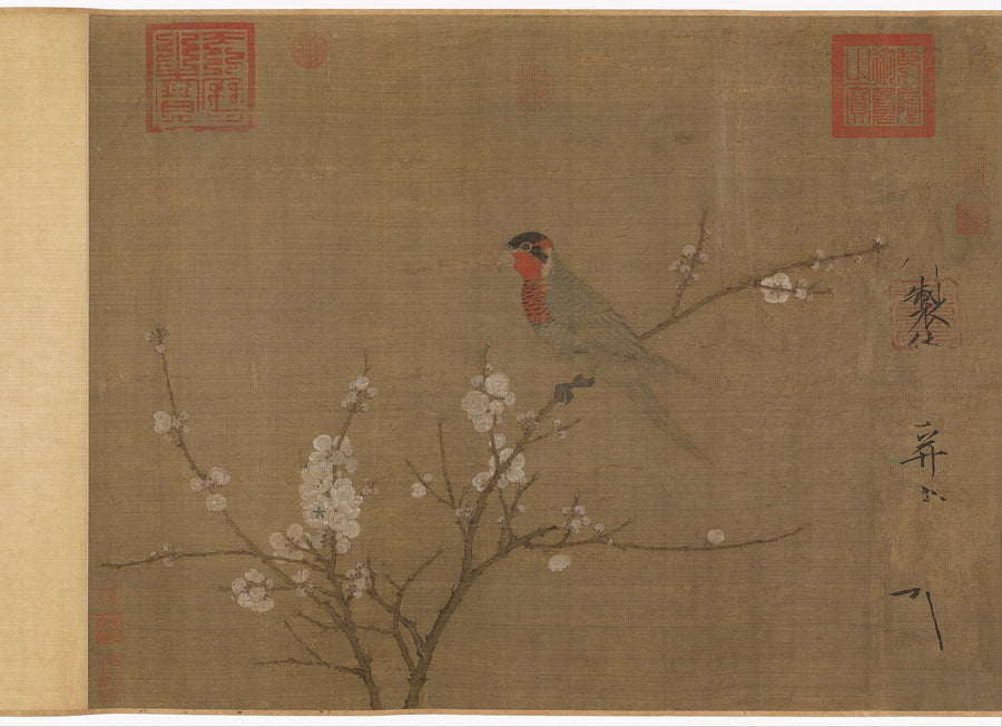 Perruche aux cinq couleurs - Empereur Huizong