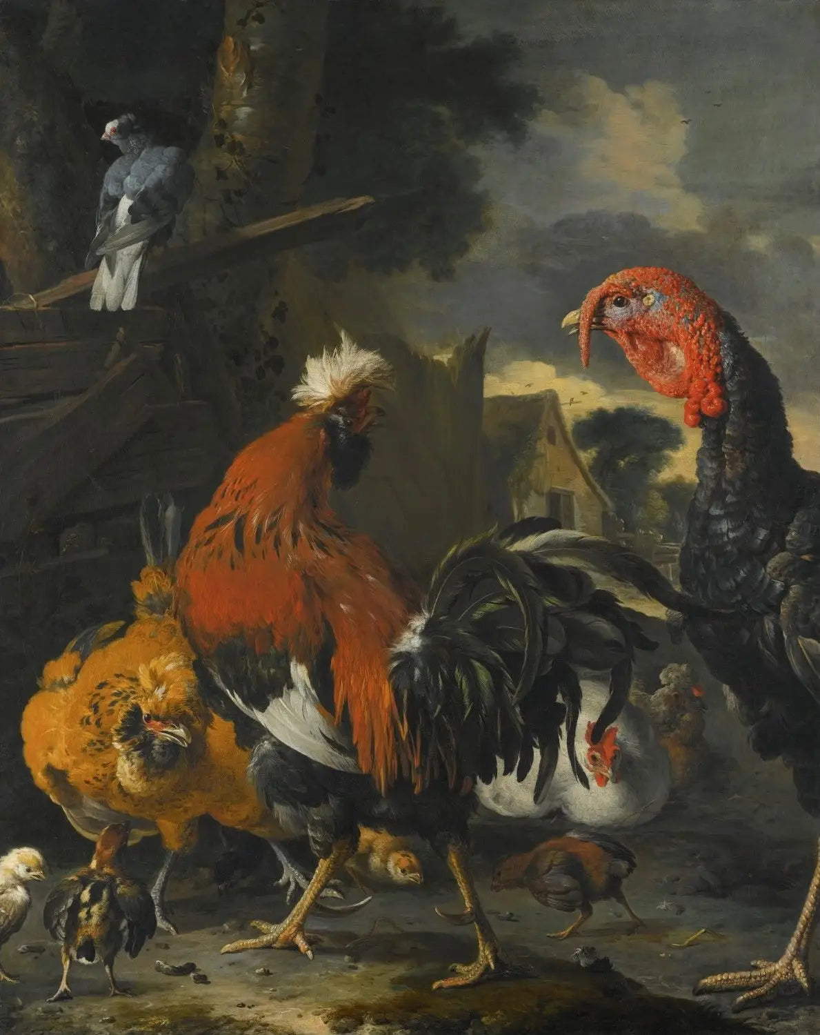 Un coq une dinde des poules et des poulets dans une basse-cour - Melchior de Hondecoeter - Alpha Reproduction