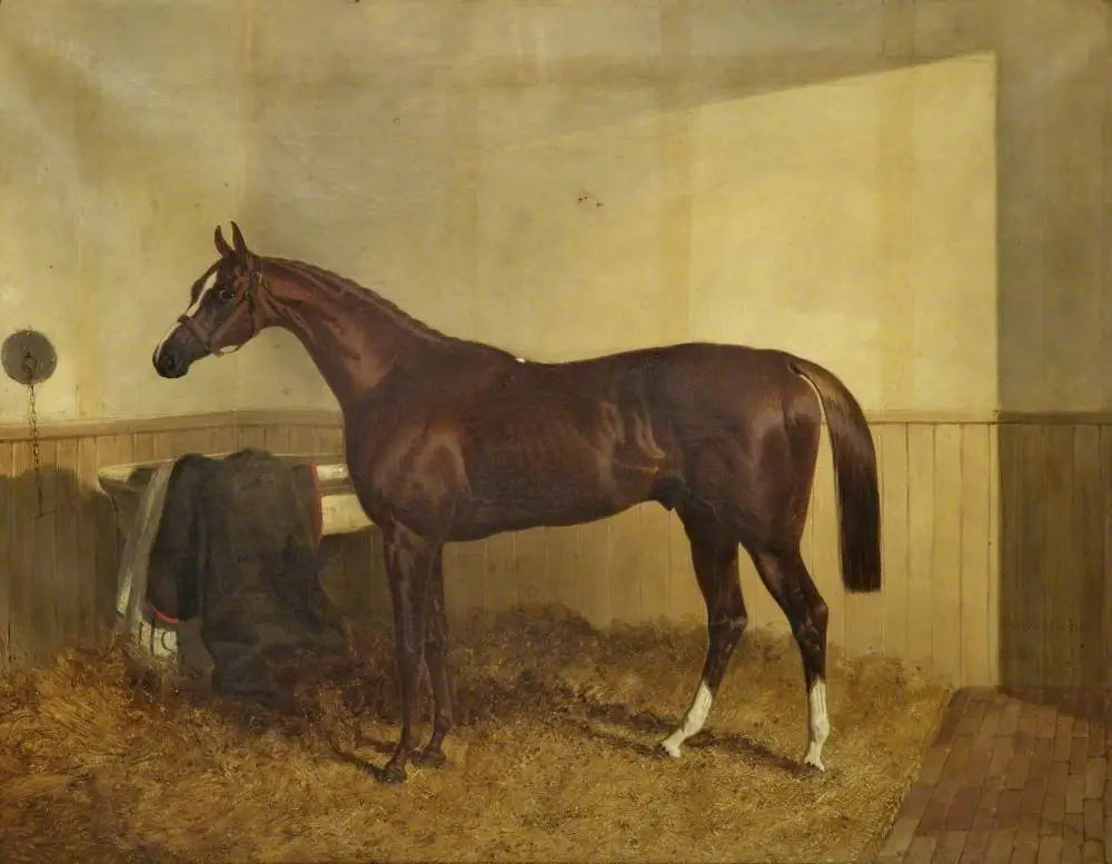 Pyrrhus Premier - John Frederick Herring Sr. - Alpha Reproduction