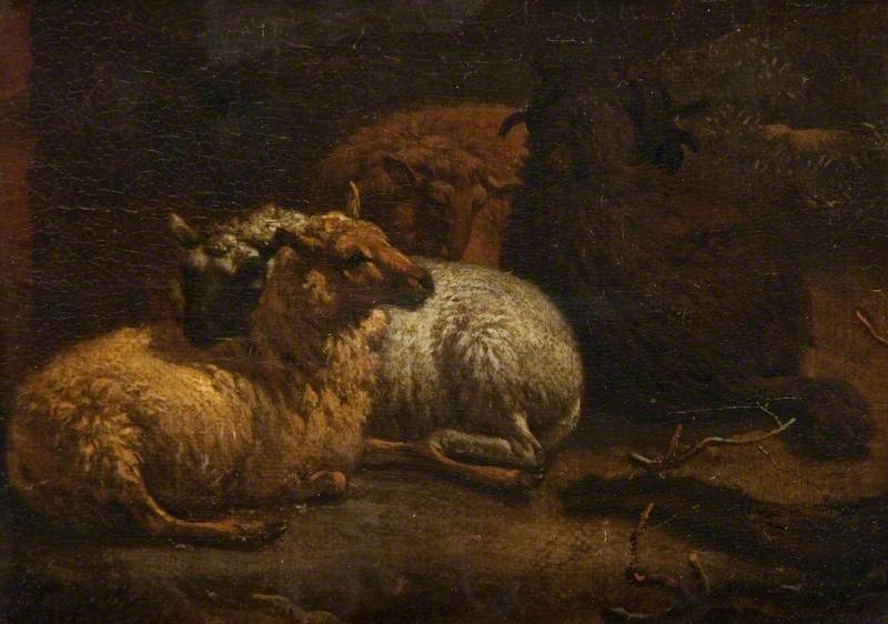 Quatre moutons au repos - Adriaen van de Velde