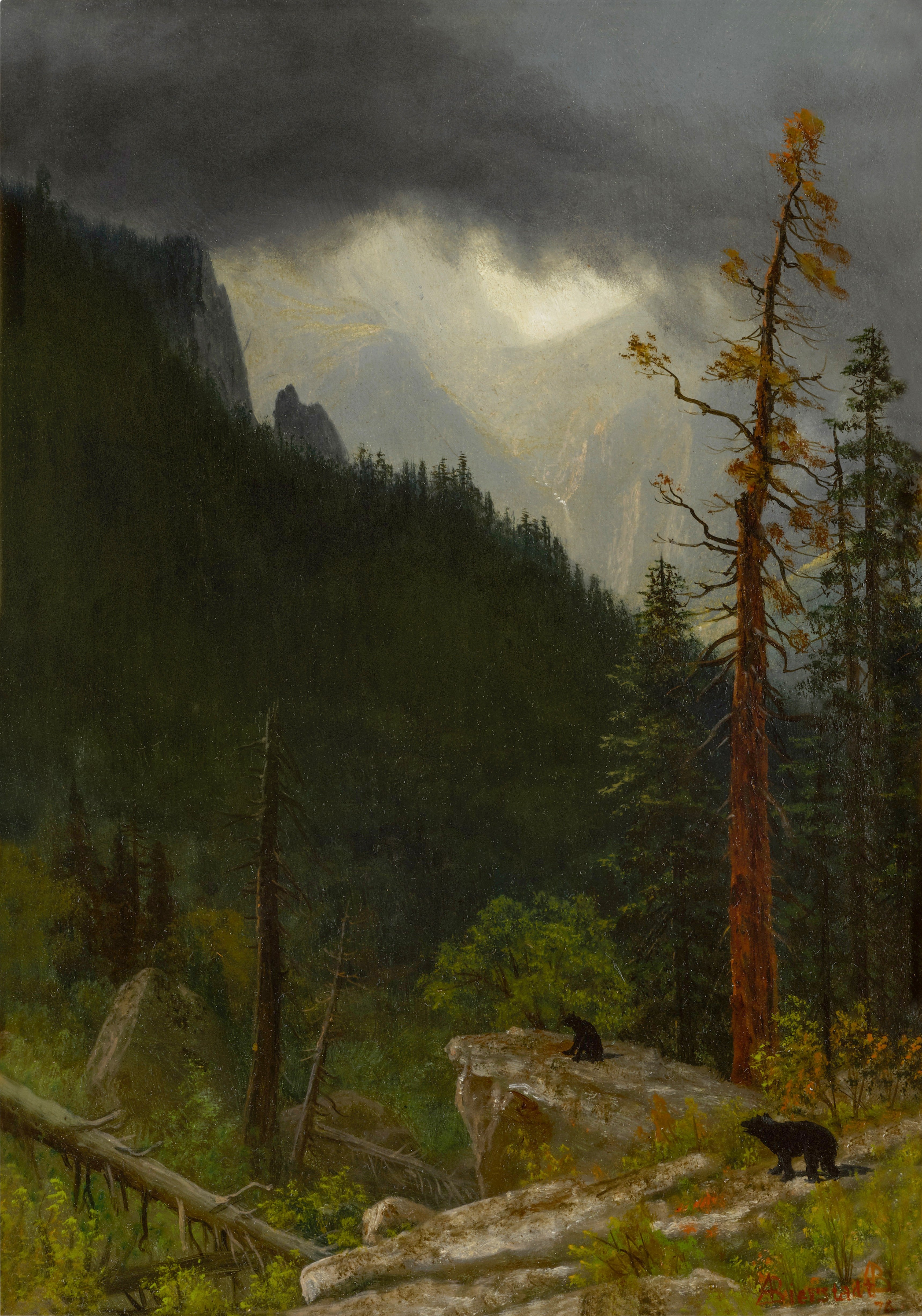 Les Rocheuses après une tempête - Albert Bierstadt