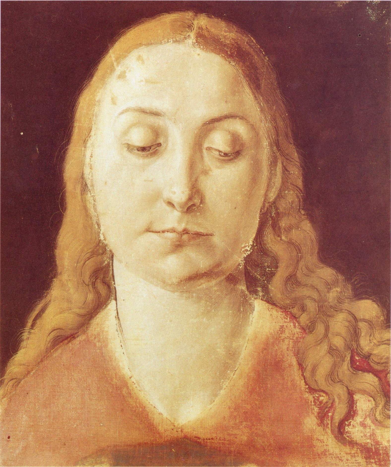 Tête de femme - Albrecht Dürer