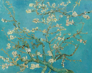 Mandler i blomst - Vincent van Gogh
