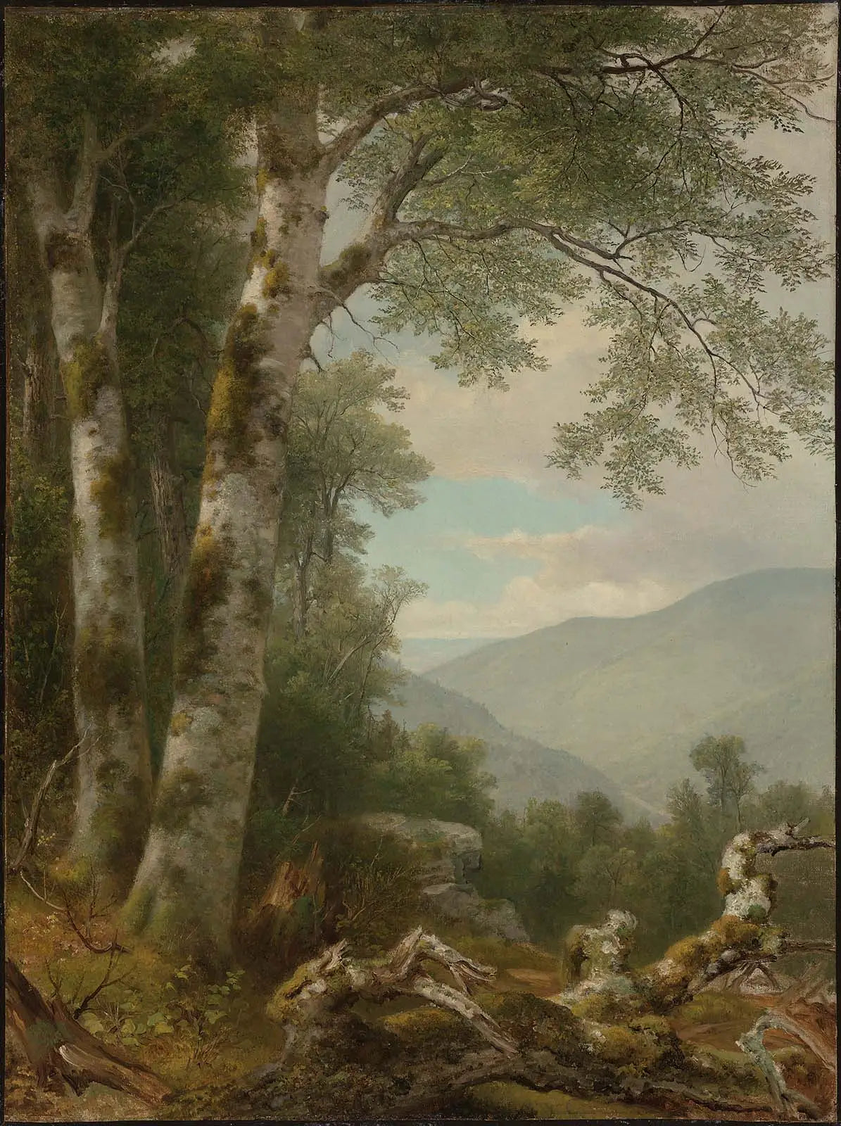 Paysage avec des bouleaux - Asher Brown Durand - Alpha Reproduction