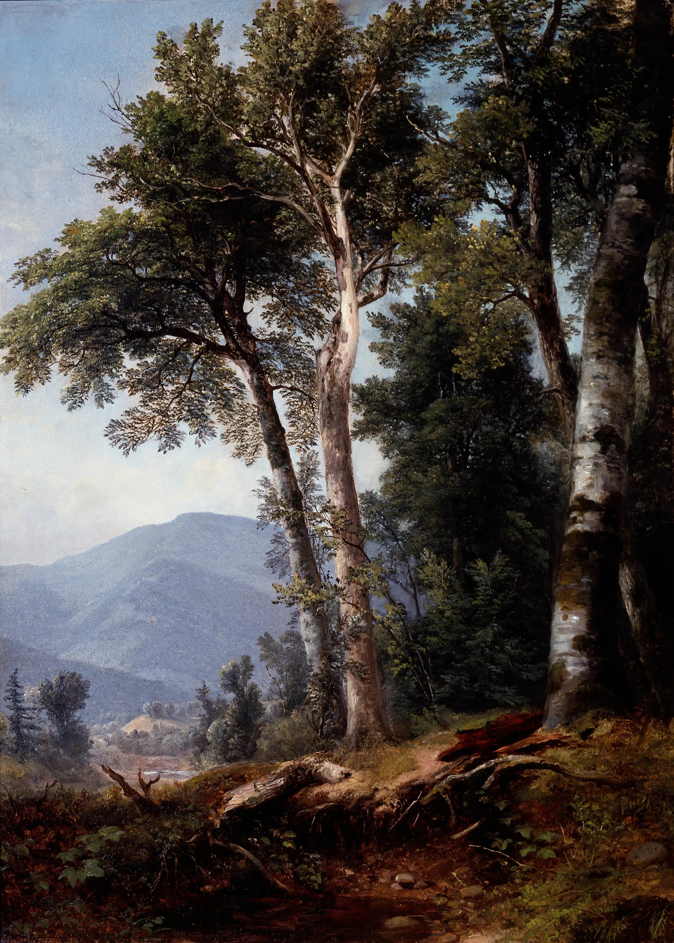 Paysage boisé - Asher Brown Durand - Alpha Reproduction