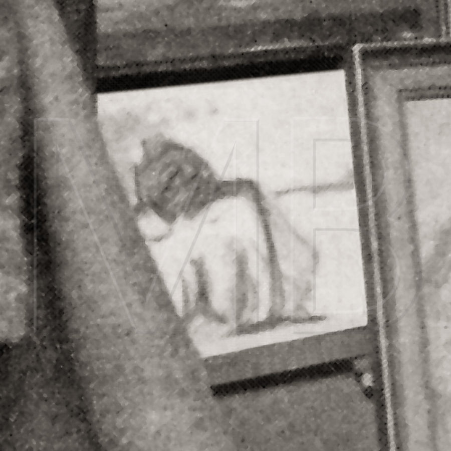 Rear View of a Female Nude - Max Beckmann