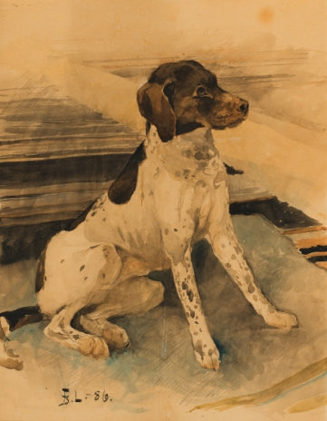 chien de chasse - Bruno Liljefors