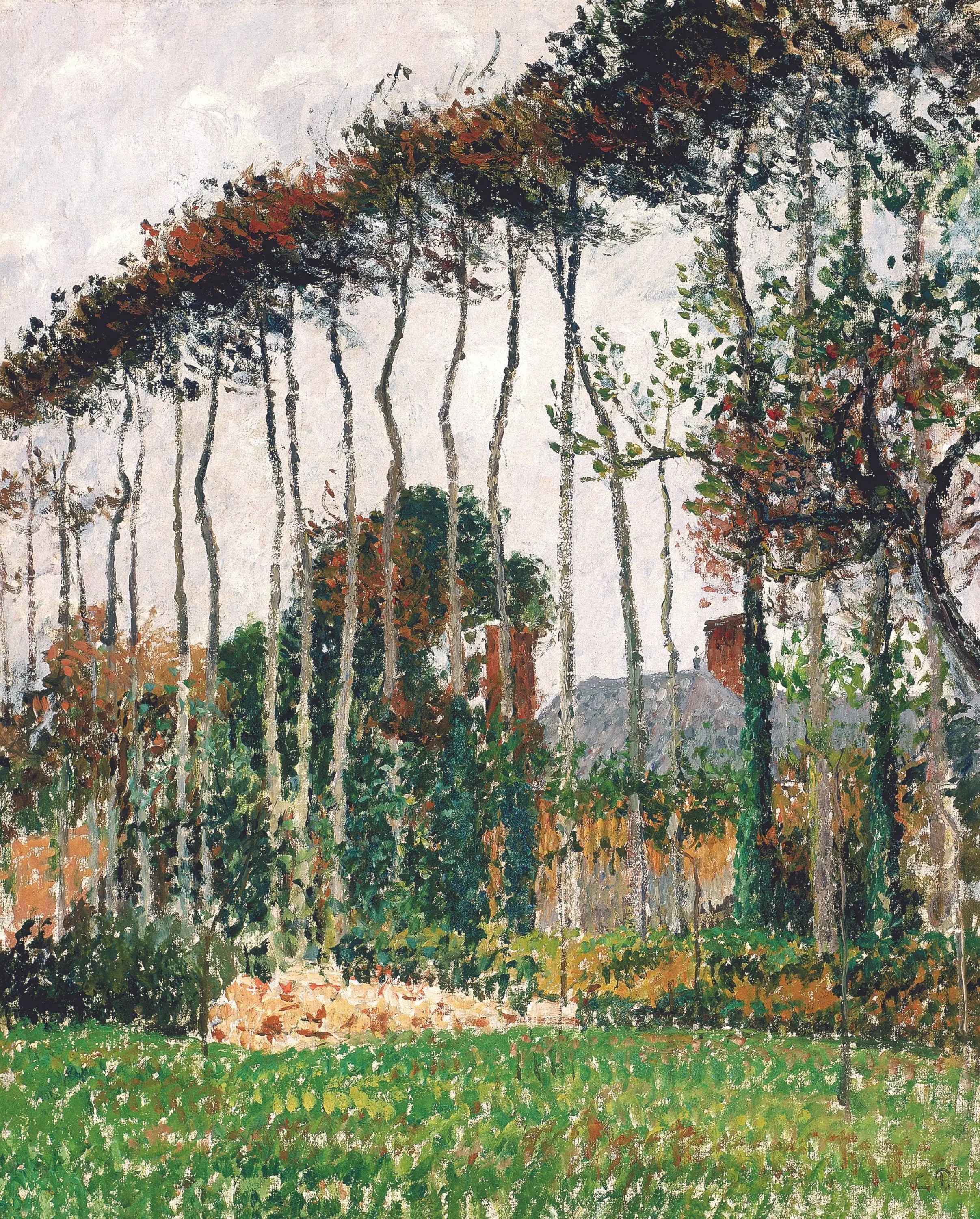 Reproduction du tableau « Les grands hêtres à Varengeville - Camille Pissarro » par Alpha Reproduction en peinture à l’huile