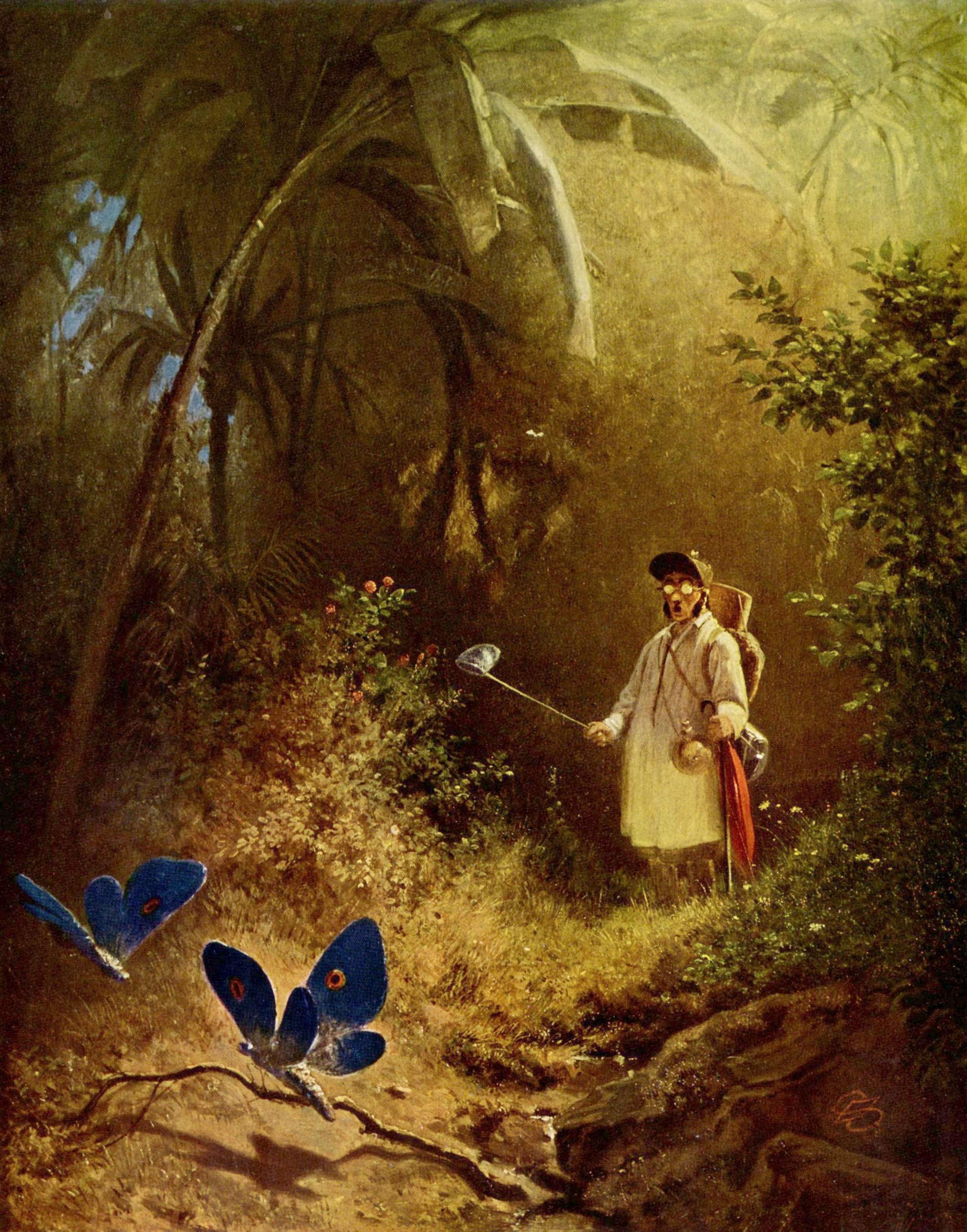Sommerfuglefangeren - Carl Spitzweg