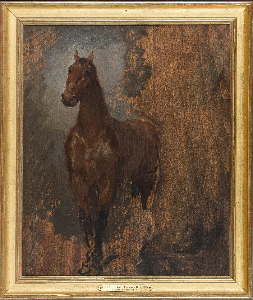Cheval alezan de face. Étude. - Théodore Chassériau - Alpha Reproduction