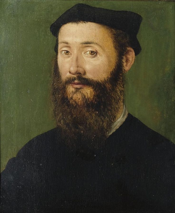 Portrait d'homme en buste - Corneille de Lyon
