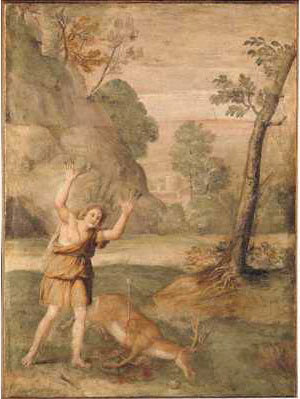 Cyparissus' forvandling - Domenichino