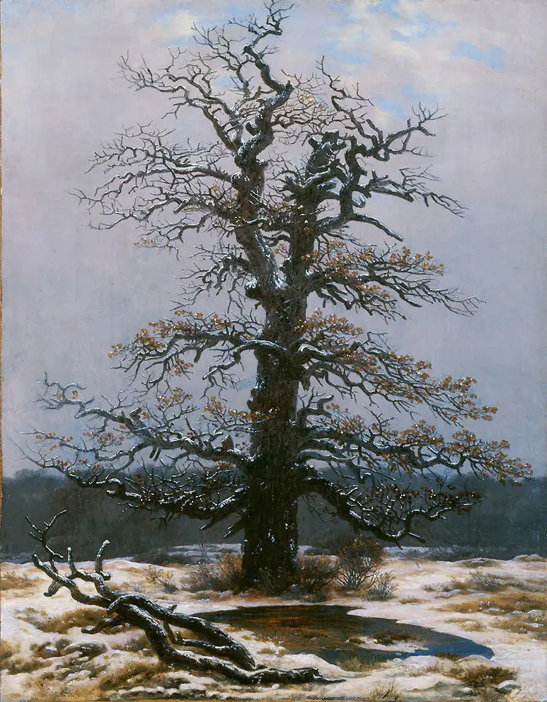 Eg under sneen - Caspar David Friedrich