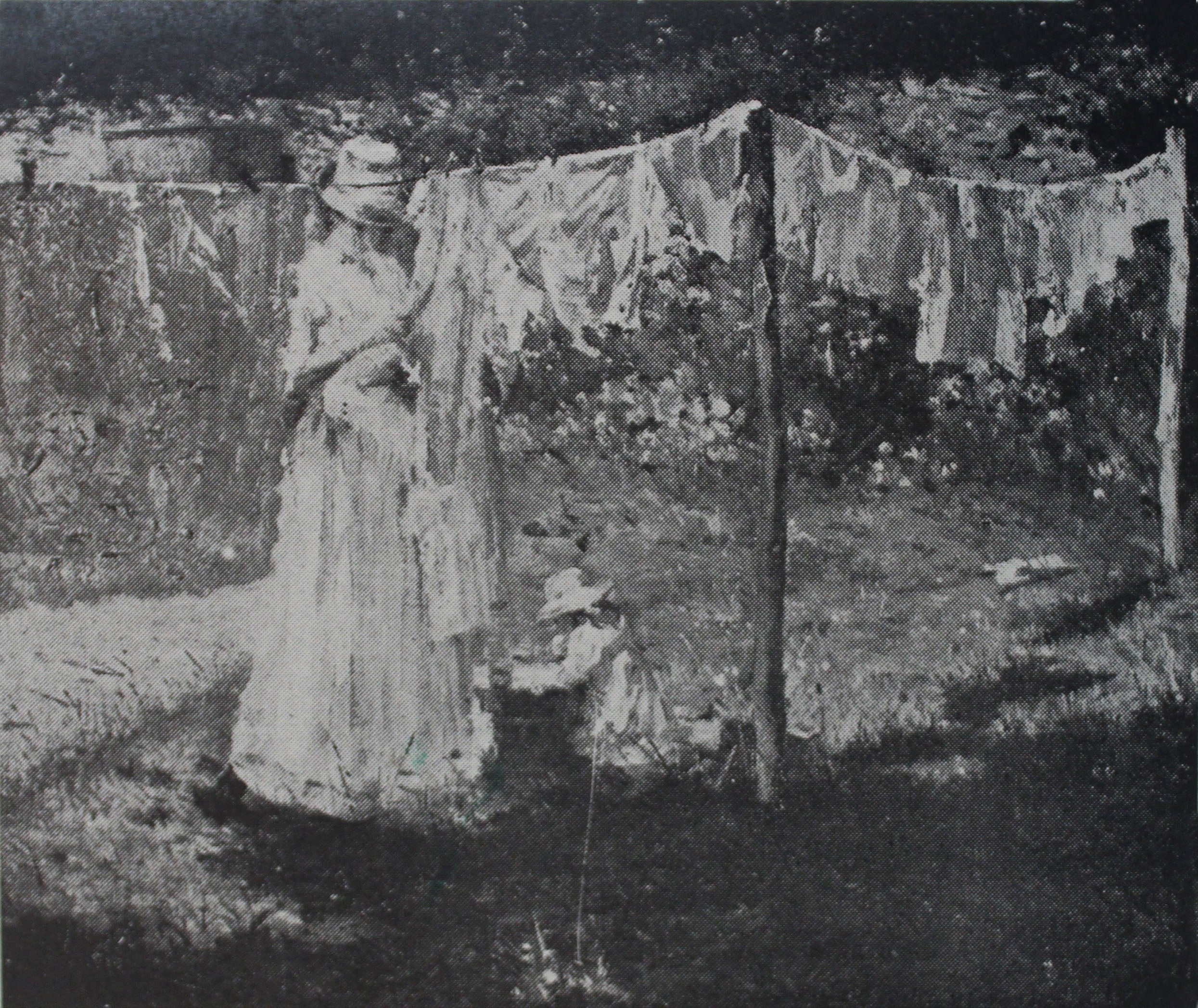 Mãezinha estendendo roupa - Eliseu Visconti