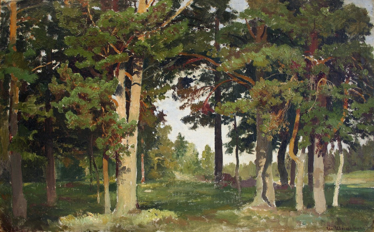 Forêt. Étude - Ivan Chichkine