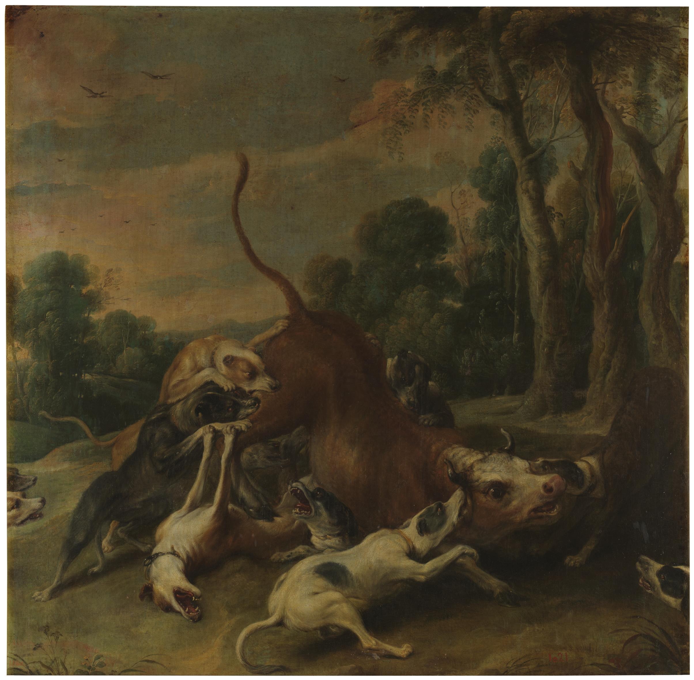 Un taureau maîtrisé par des chiens - Frans Snyders