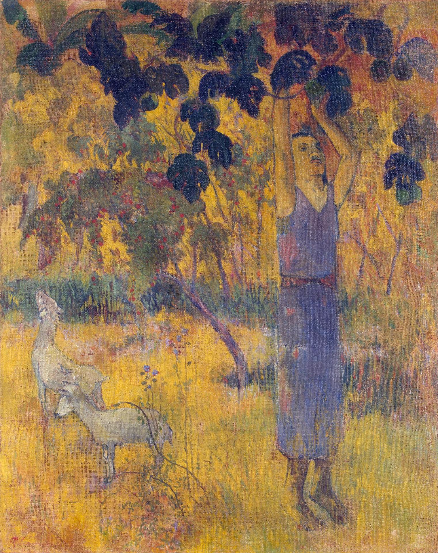 Reproduction du tableau « La récolte, ou Homme cueillant des fruits - Paul Gauguin » par Alpha Reproduction en peinture à l’huile