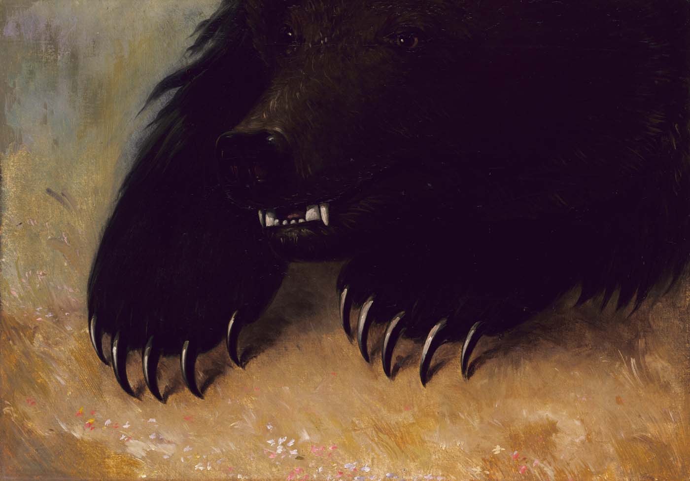 Armes et physionomie de l'ours grizzli - George Catlin