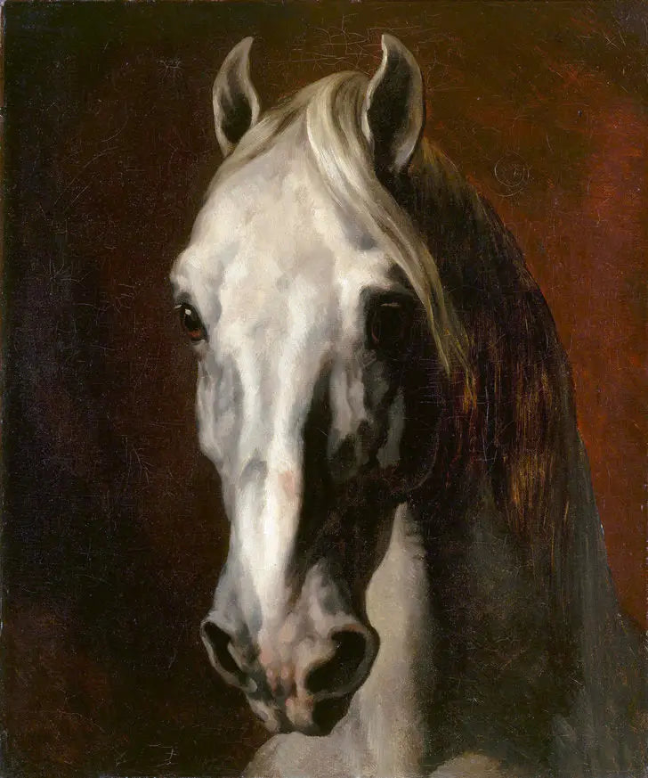 Hvid hestehoved - Théodore Géricault