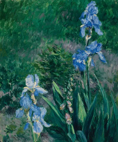 Blå iris, have i Petit Gennevilliers - Gustave Caillebotte