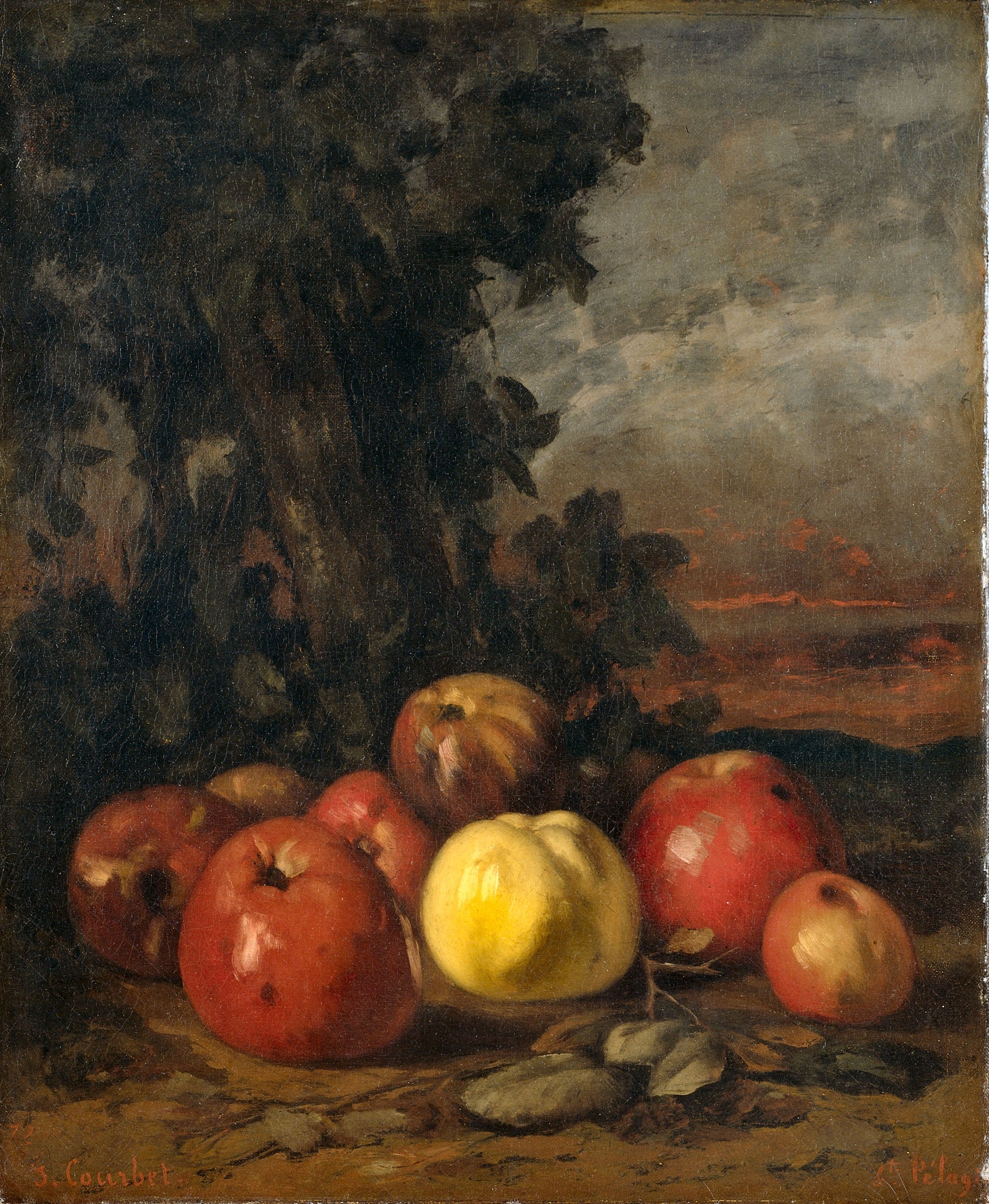 Nature morte aux pommes - Gustave Courbet