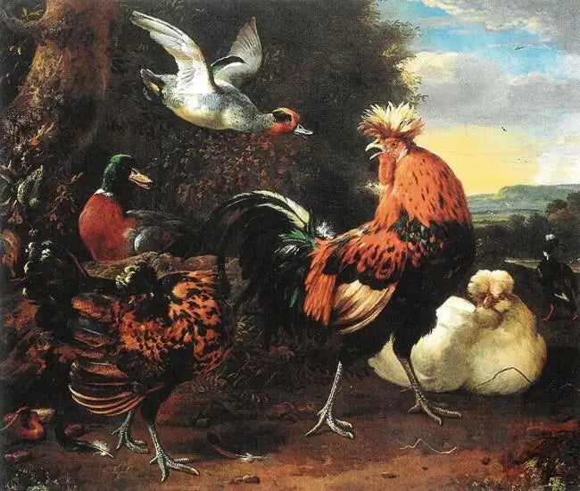 Volaille - Melchior de Hondecoeter - Alpha Reproduction