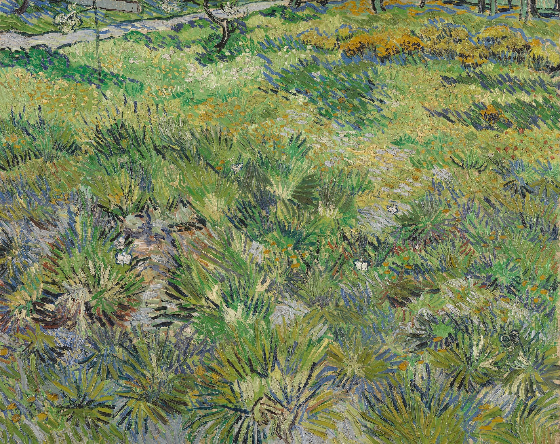 Langt græs med sommerfugle - Vincent van Gogh