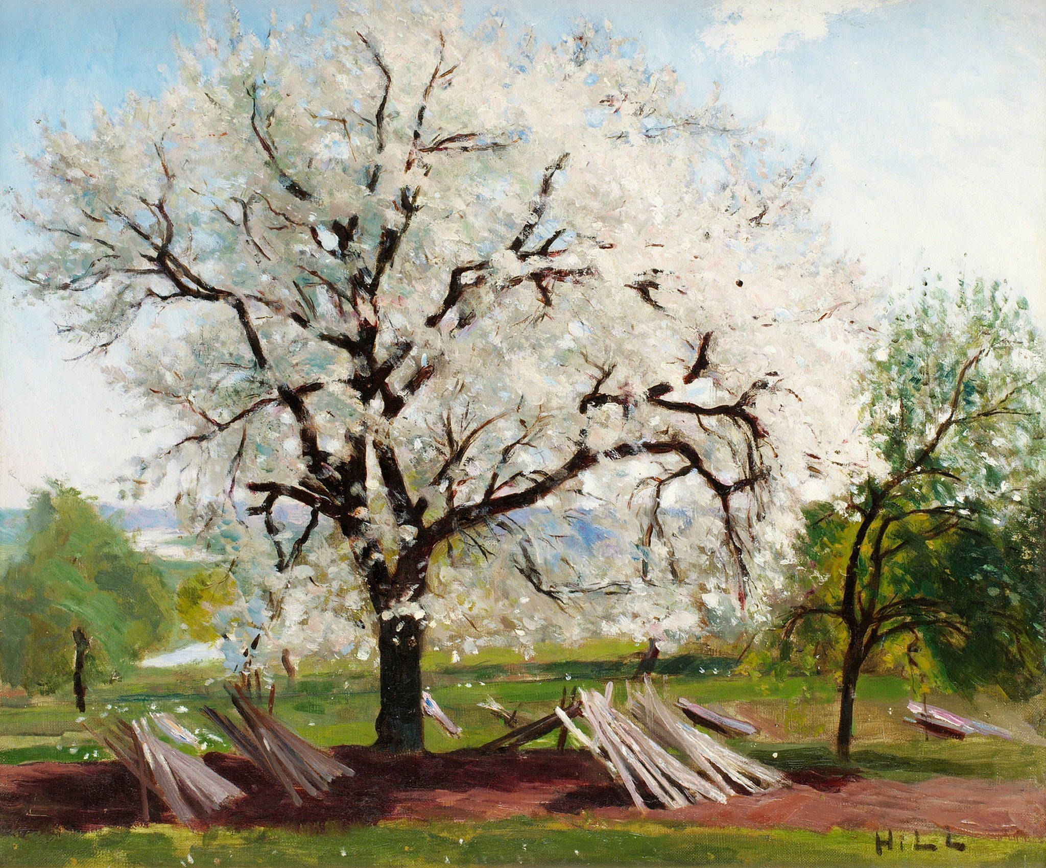 Arbre fruitier en fleurs, peinture de Carl Fredrik Hill