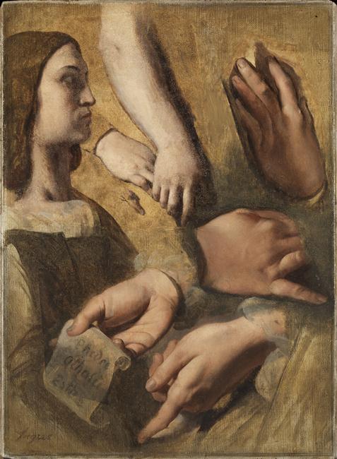 Profil af Raphael, hænder af Raphael, Rod og Poussin, studier til apoteosen af Homer - Jean-Auguste-Dominique Ingres
