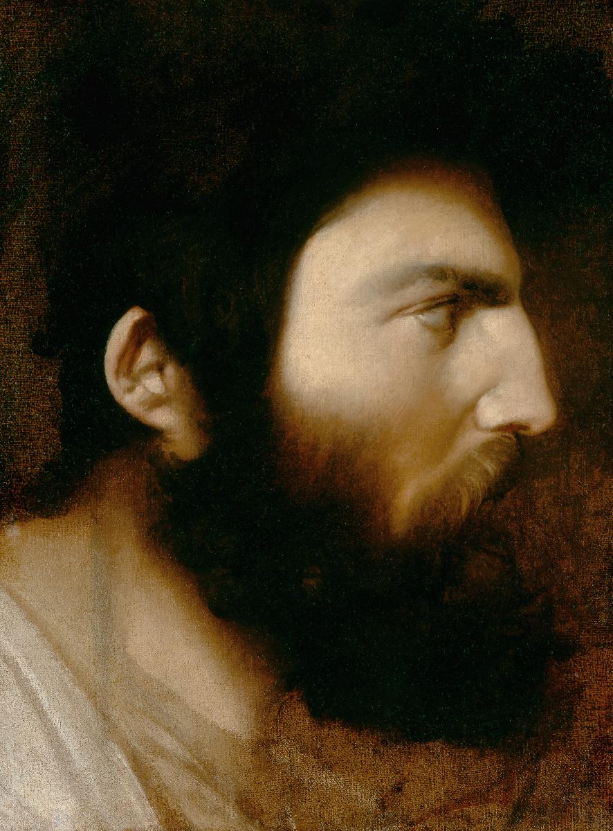 Profil af skægget mand - Jean-Auguste-Dominique Ingres