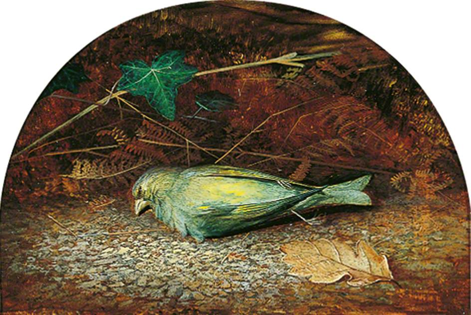 Une linotte morte - John Atkinson Grimshaw