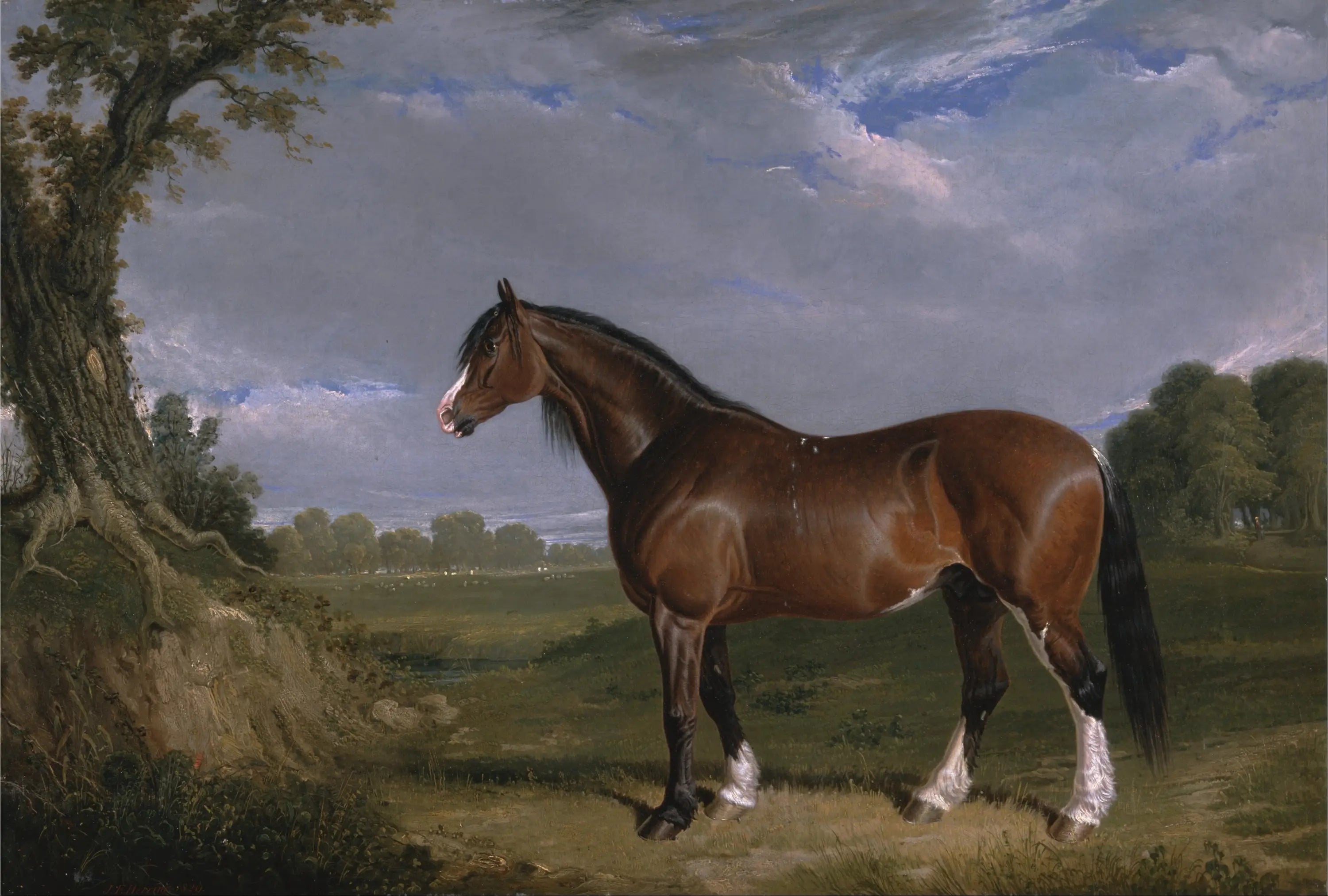 Un étalon Clydesdale - John Frederick Herring Sr. - Alpha Reproduction