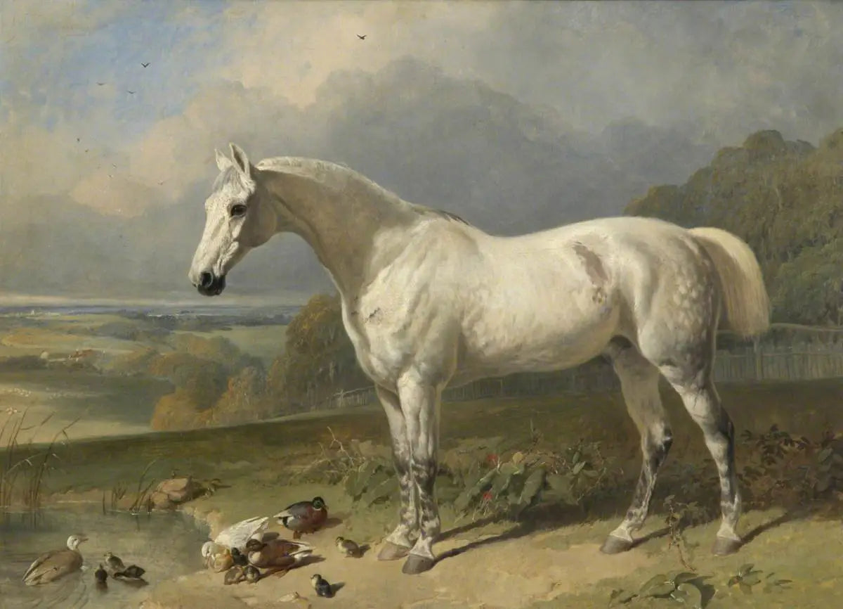 Un cheval gris et des canards dans un paysage - John Frederick Herring Sr. - Alpha Reproduction