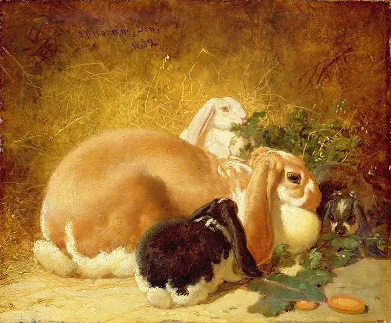 Lièvres belges - John Frederick Herring Sr. - Alpha Reproduction