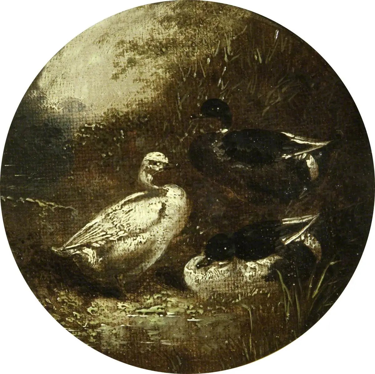 Huit scènes de ferme circulaires : Canards - John Frederick Herring Sr. - Alpha Reproduction