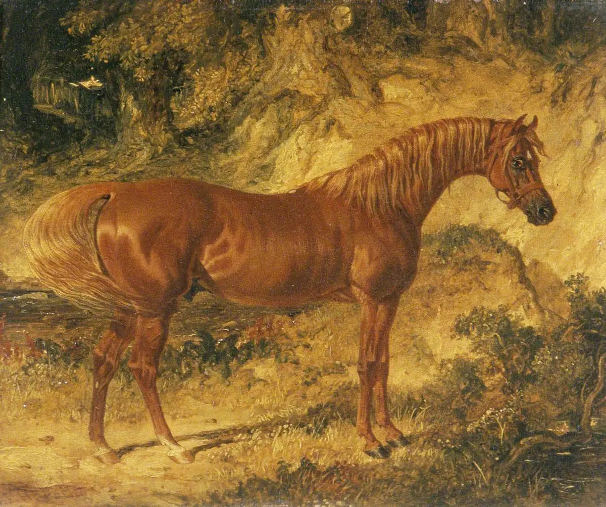 Le cheval de course « Actéon » - John Frederick Herring Sr. - Alpha Reproduction