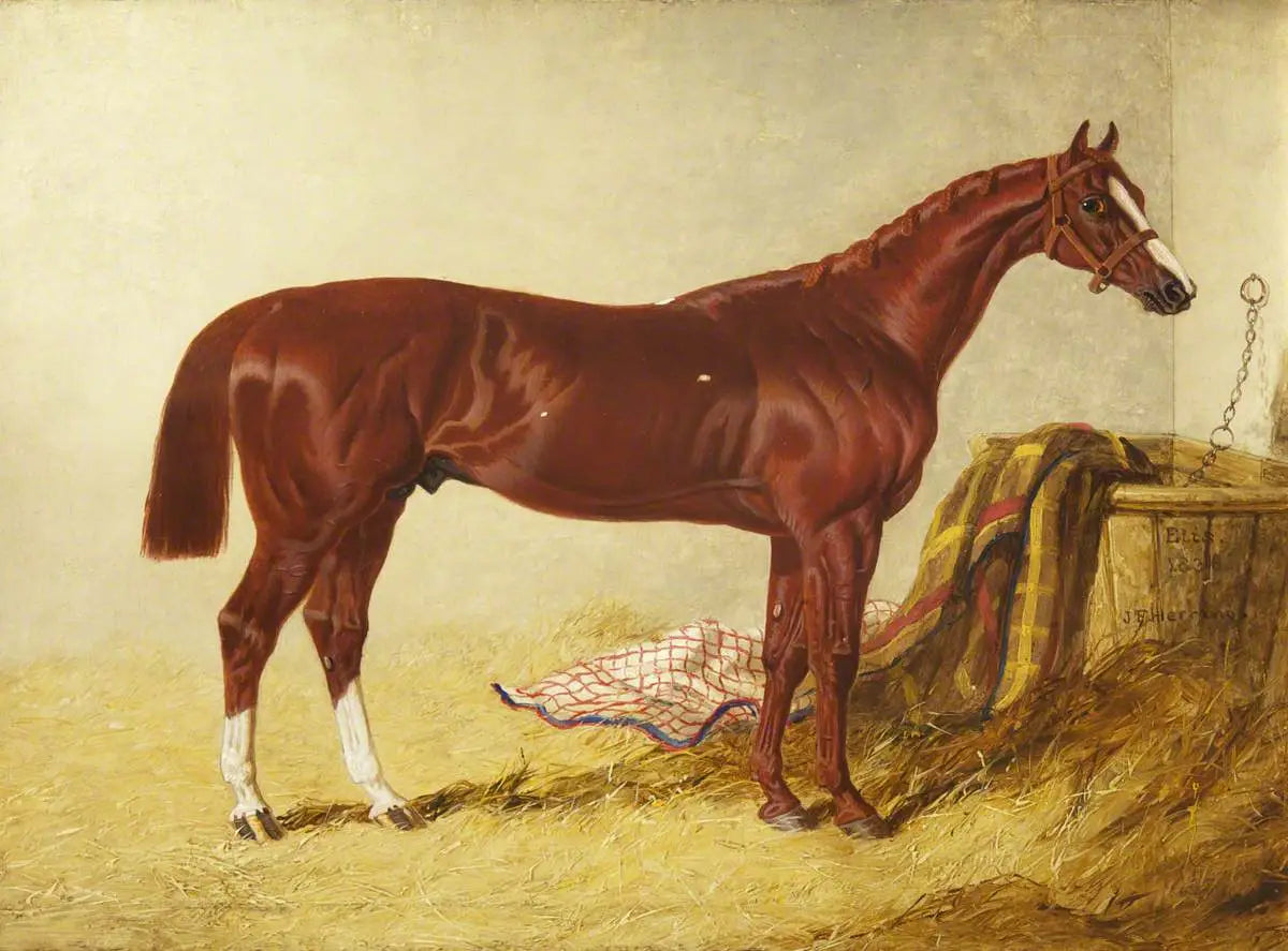 Elis vainqueur du St Leger Stakes 1836 dans un box détaché - John Frederick Herring Sr. - Alpha Reproduction