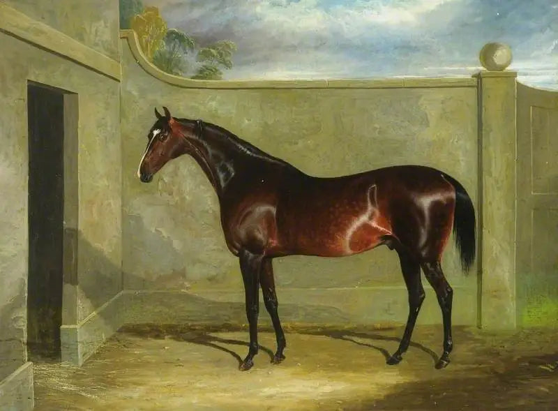 Filho da puta’ - John Frederick Herring Sr. - Alpha Reproduction