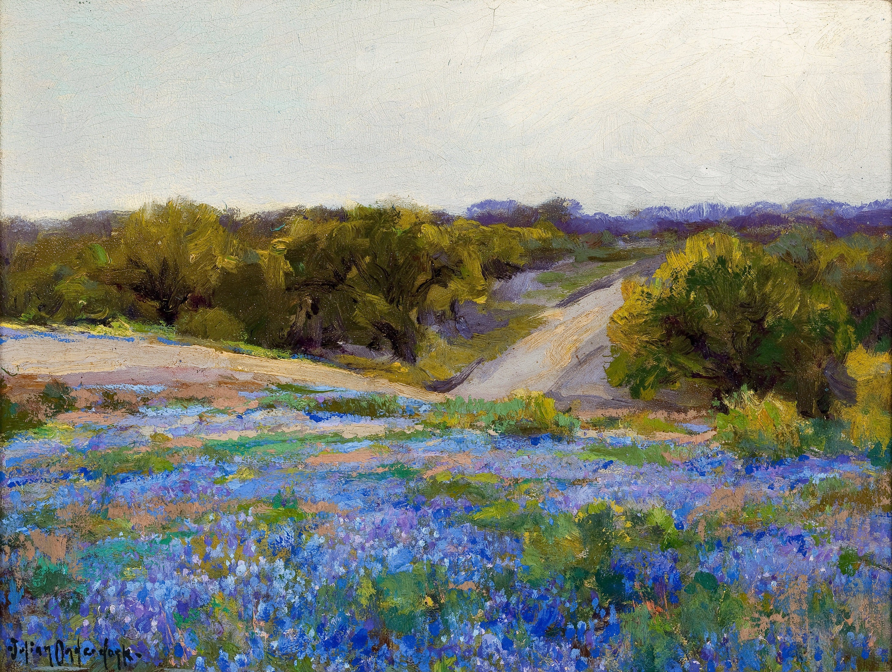 Les lupins bleus en fin d'après-midi - Julian Onderdonk