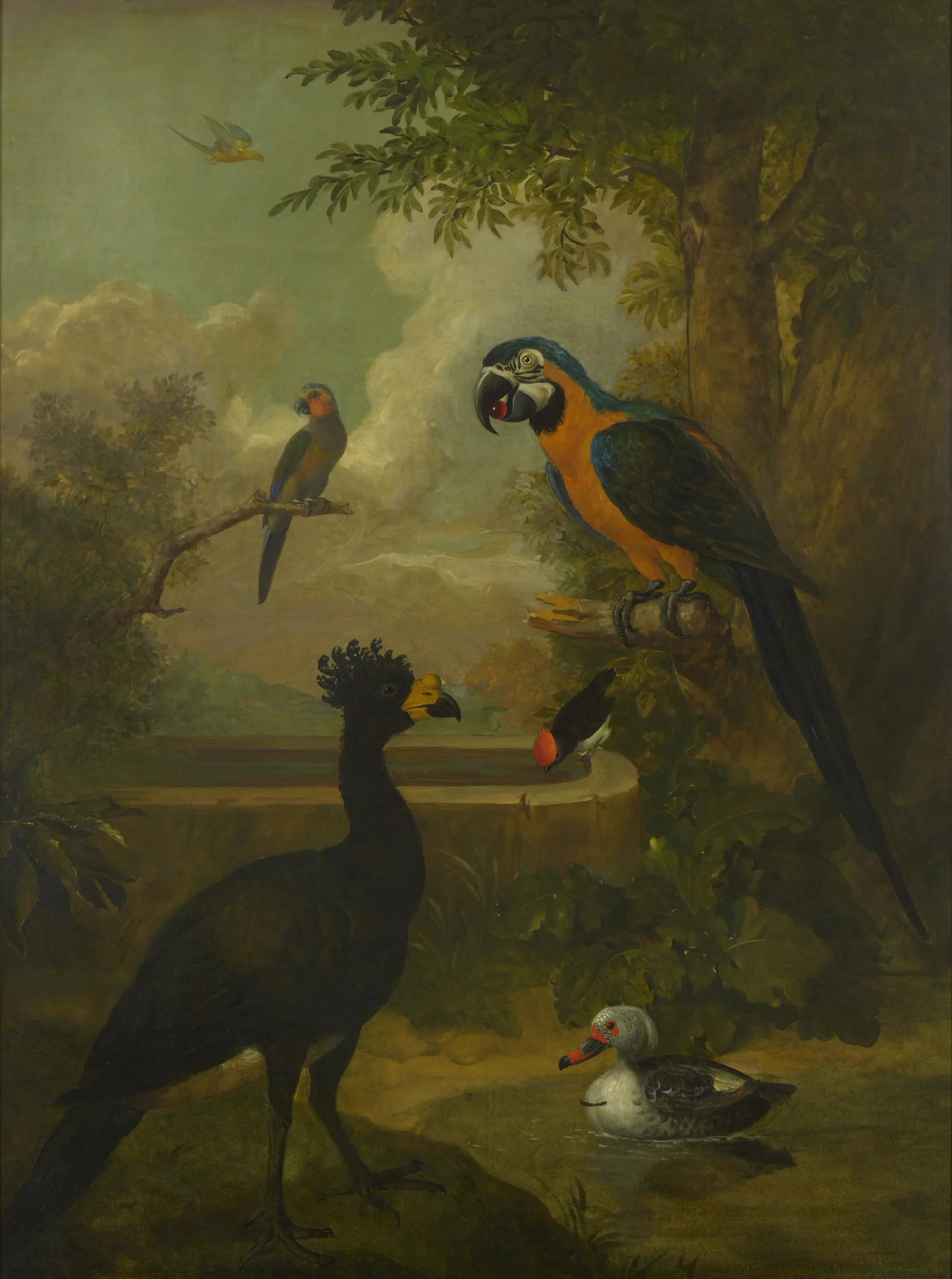 Ara et autres oiseaux dans un paysage - Tobias Stranover - Alpha Reproduction