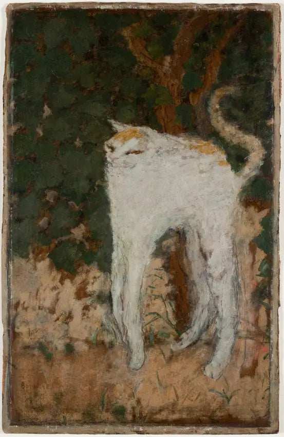 Den hvide kat - Pierre Bonnard