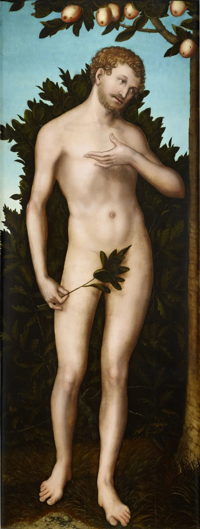 Adam - Lucas Cranach den Ældre