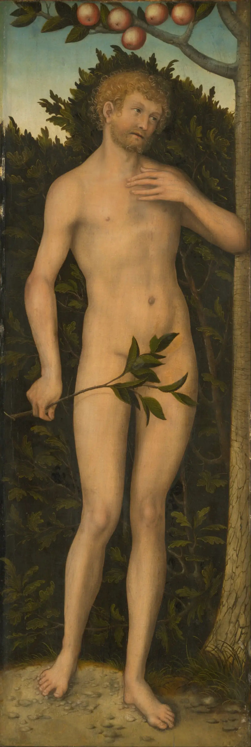 Adam - Lucas Cranach den Ældre