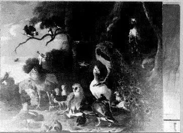 Q28062101 - Melchior de Hondecoeter - Alpha Reproduction