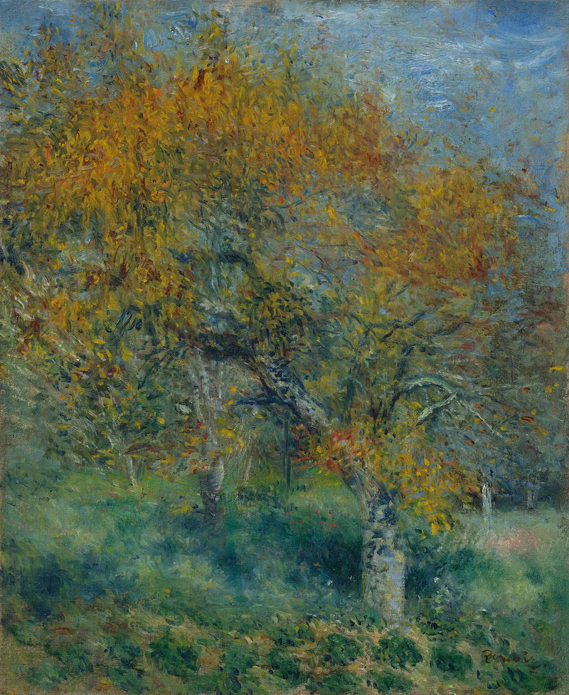Pæretræet - Pierre-Auguste Renoir