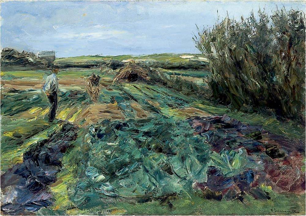 Kålmarken (kålmarken i Noordwijk) - Max Liebermann