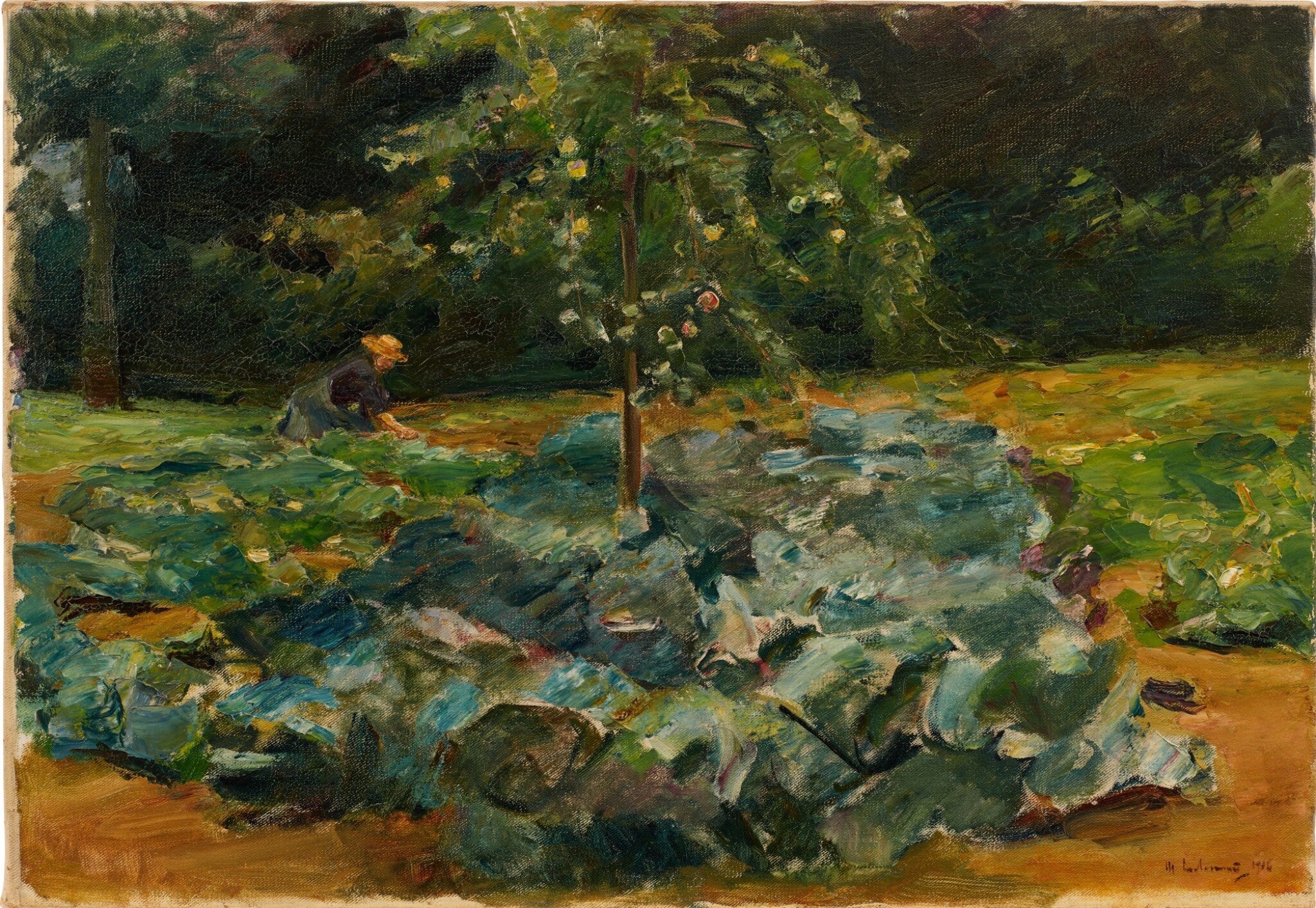 Kålmark i haven ved Wannsee - Max Liebermann